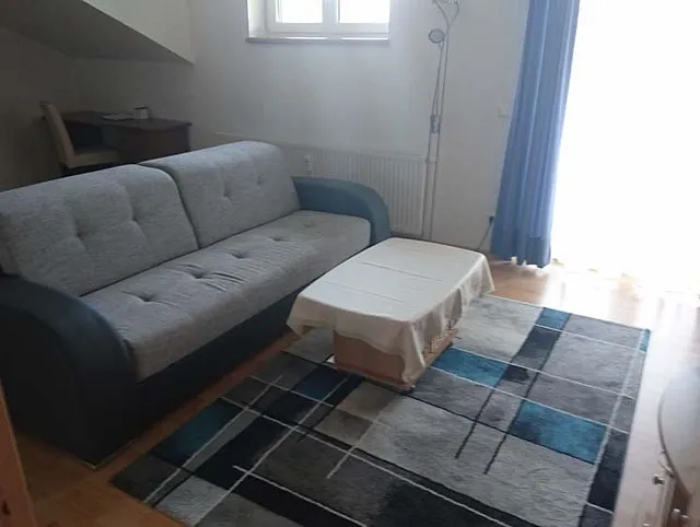 Wohn-Esszimmer